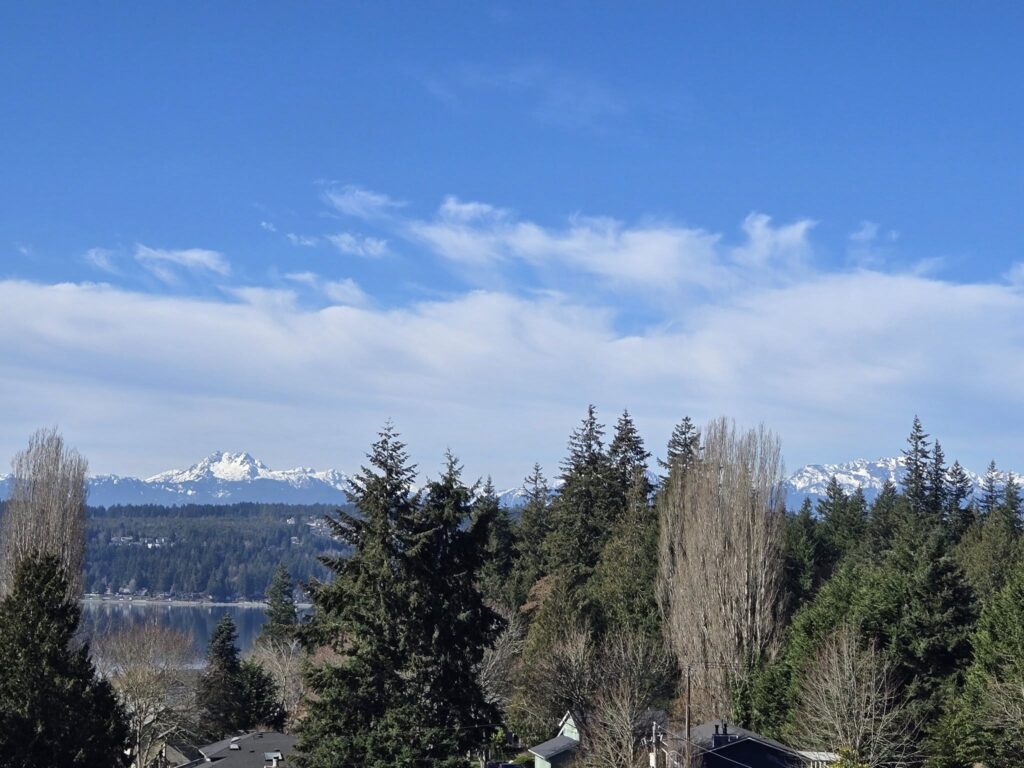 Silverdale Property Management